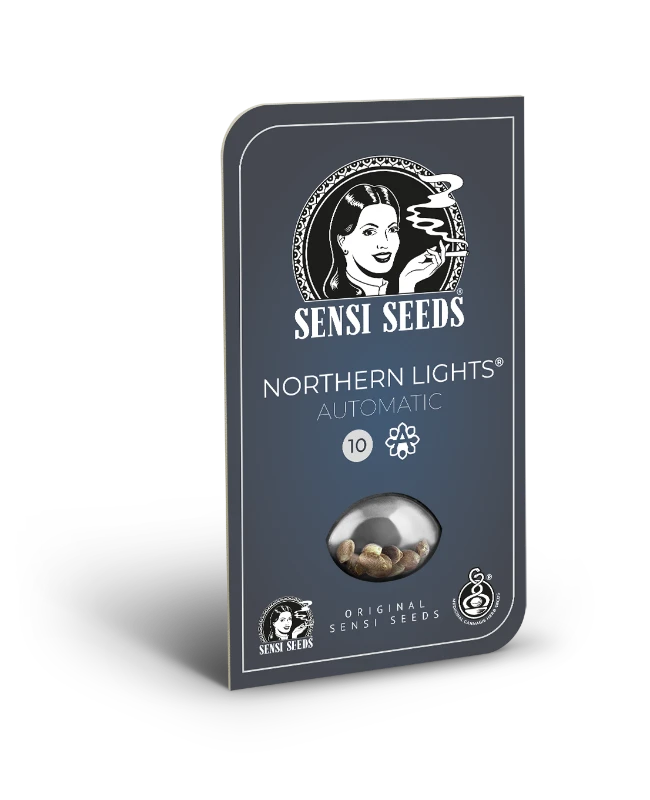 Big Bud Feminised Seeds - SENSI SEEDS