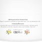 CBD VITAL Akutbalsam